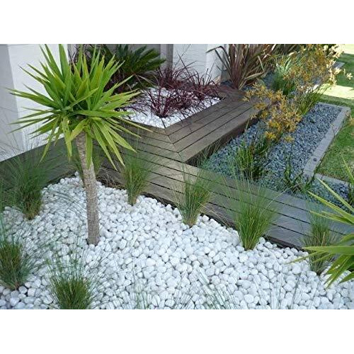 Schmick 1 Kg Polished White Pebbles Stones for Plant pots, Aquarium/Fish Tank, Decorations, Garden, Tables, and Home Decor (1 Kg, White Stone)