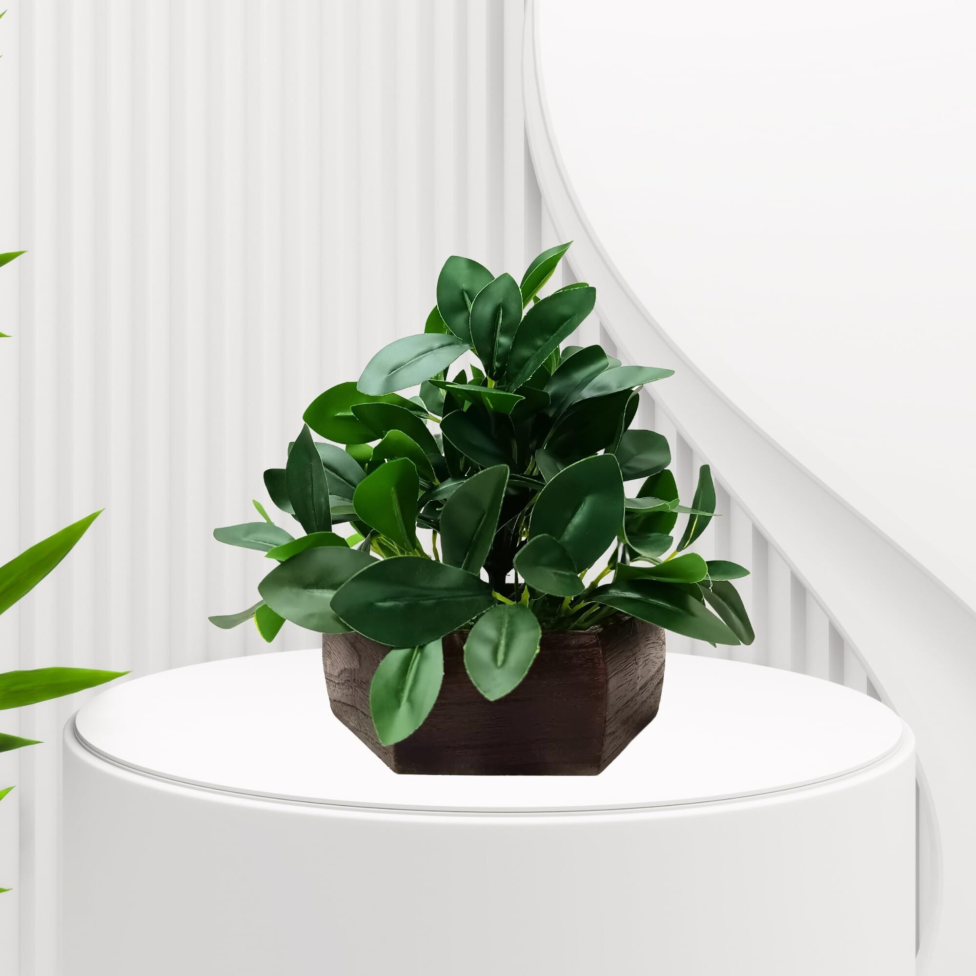 fancymart Artificial Ficus Leaves Plant in Wood Hexagon Pot - 20cm Height - Home & Office Decor Elegant Potted Plant for Tabletop Enhancement