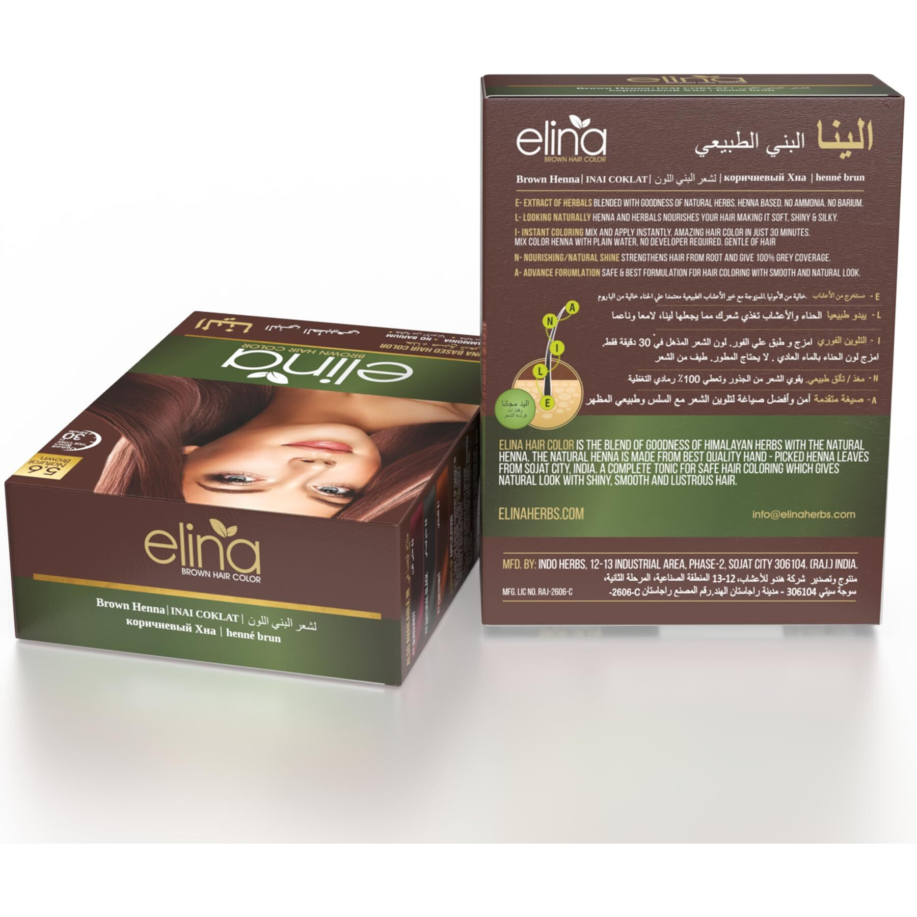 Elina 100% Pure Natural Henna Mehendi Hair Color/Dye Powder | Herbal Hair Color for Men & Women | Full Coverage Of Gray Hair | 100% Organic & Chemical Free - Pack of 6(10g each) (Brown)