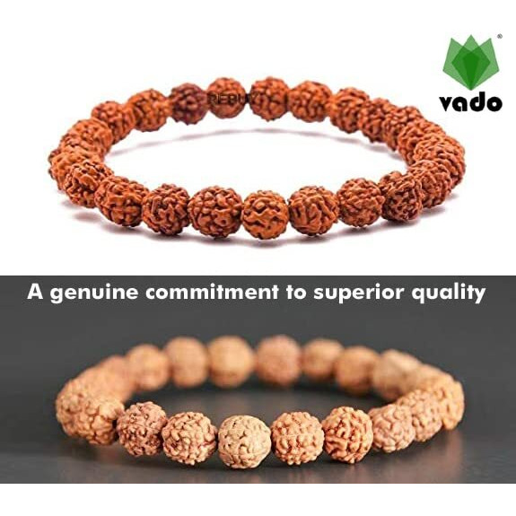 Vado Rudraksha Bracelet, Stretchable Energized Wrist Band with 5 Mukhi Natural Rudraksh Beads Pack of 3 (9MM, Brown)