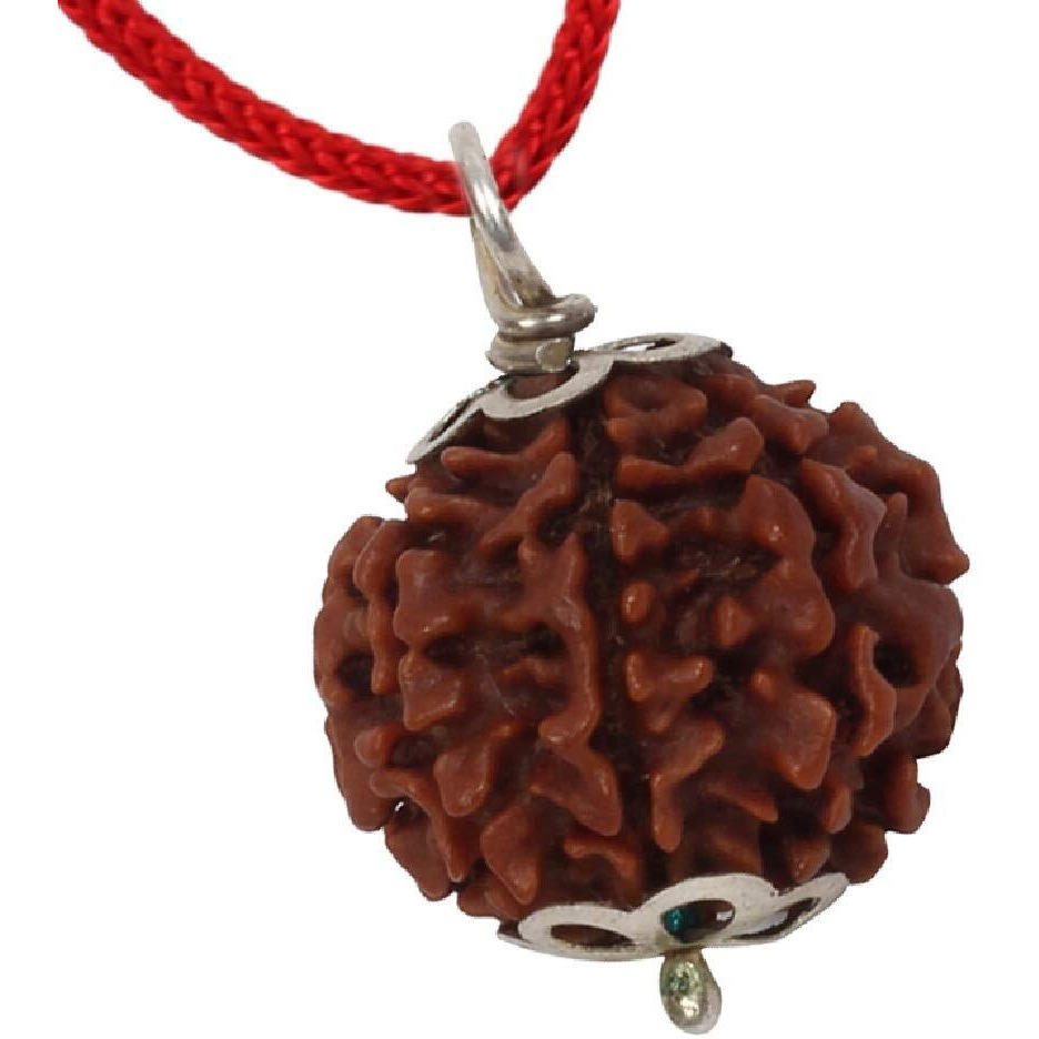 ASTRODIDI Original and Certified 7 Mukhi Rudraksha/Seven Faced Nepali Rudraksh Pendant for Men and Women