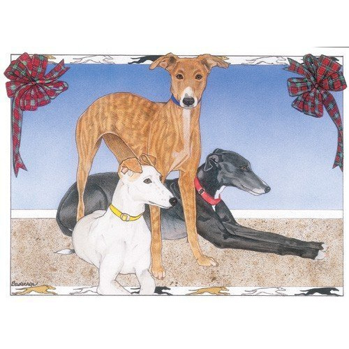 Pipsqueak Productions C867 Holiday Boxed Cards- Greyhounds