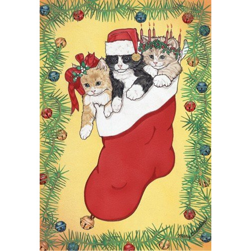 Pipsqueak Productions C414 Stocking Stuffers Cat Christmas Boxed Cards - Pack of 10