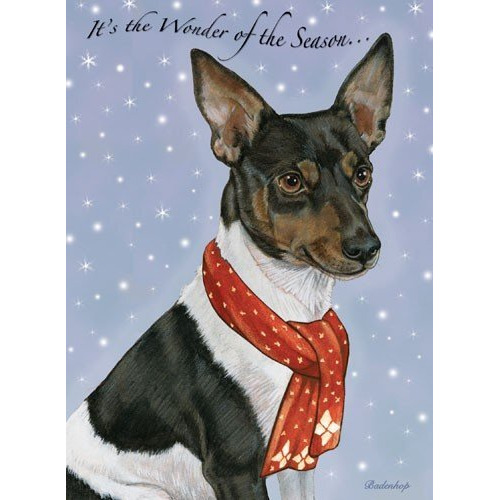 Pipsqueak Productions C704 Rat Terrier Christmas Boxed Cards - Pack of 10