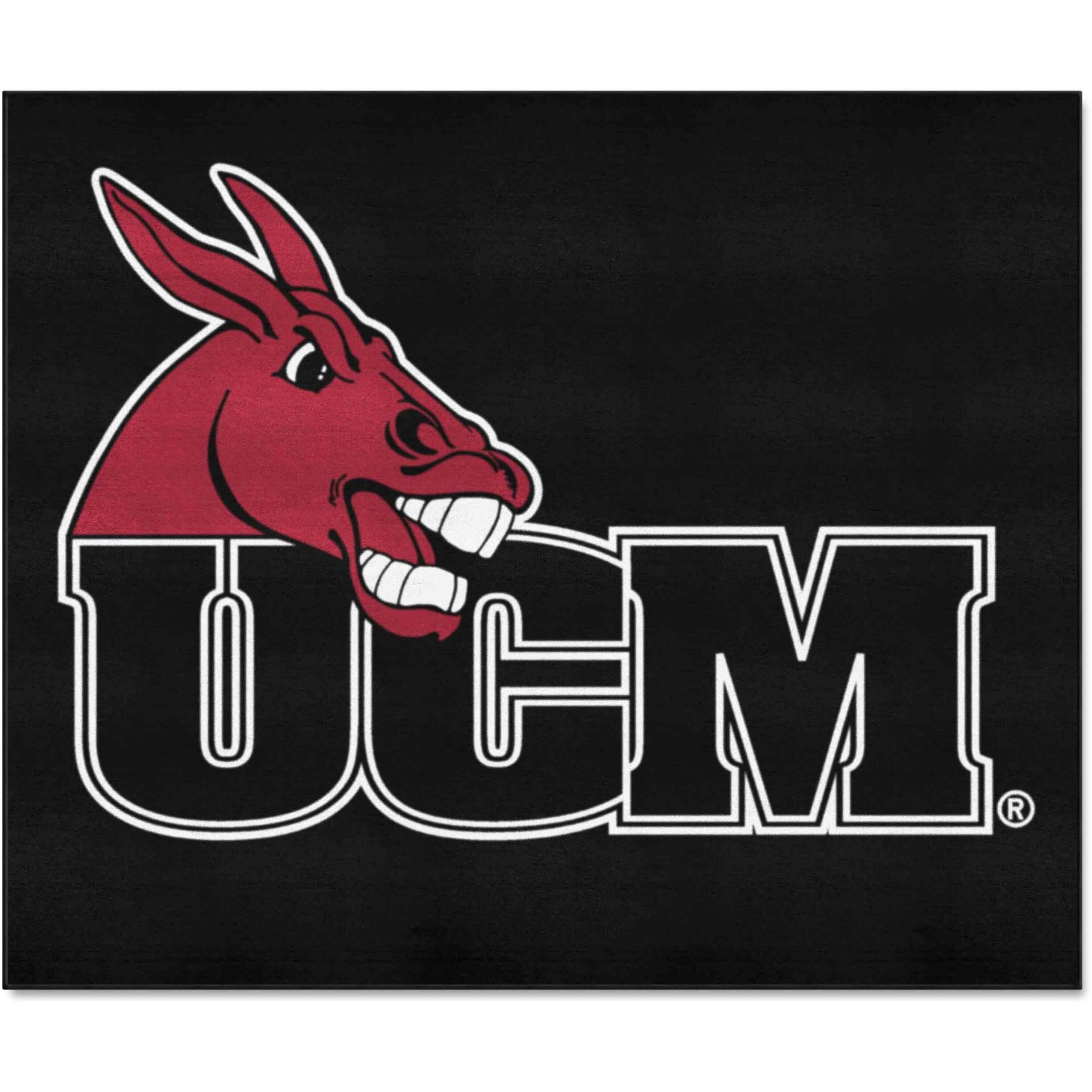 FANMATS 382 Central Missouri Mules Tailgater Rug - 5ft. x 6ft. Sports Fan Area Rug, Home Decor Rug and Tailgating Mat