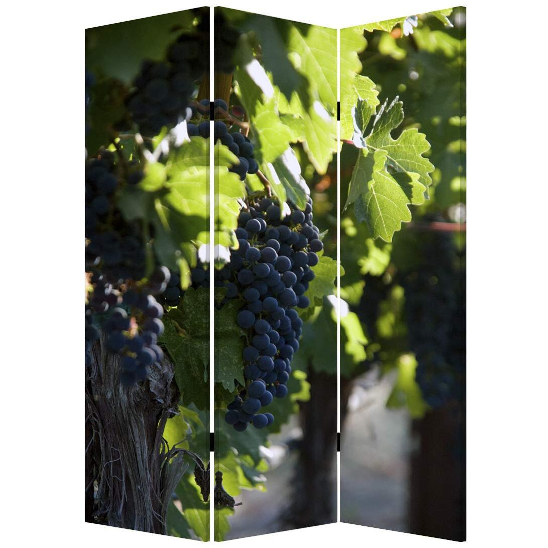 HomeRoots Decor 1-inch x 48-inch x 72-inch Multi-Color, Wood, Canvas, Wine Country - Screen