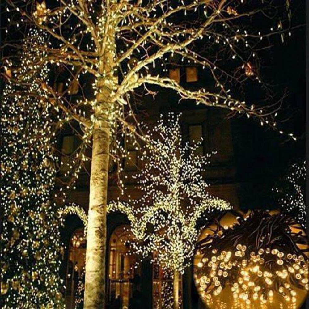 Firefly Solar Mini 36ft 100 LED Solar Christmas Light on String Waterproof Solar String, 8 Mode Power Up to 15 hours, Outdoor Solar Fairy String Lights for Garden, Patio, Christmas Decoration - Warm White