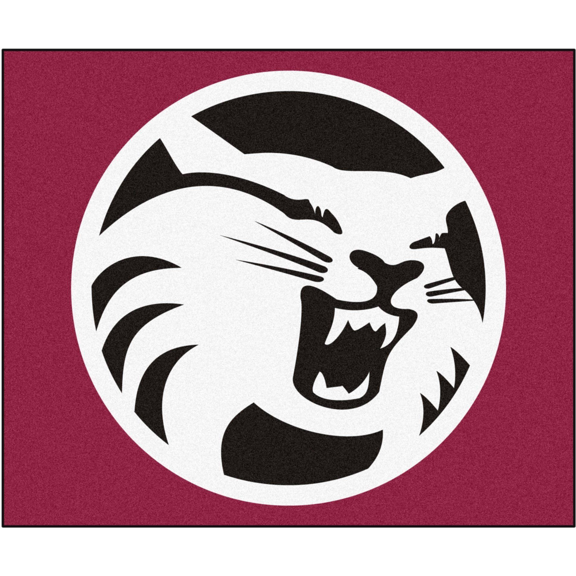 FANMATS Sports Team Logo Mat Cal State - Chico Tailgater Rug 60" 72"