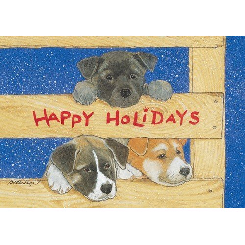 Pipsqueak Productions C891 Holiday Boxed Cards- Akita