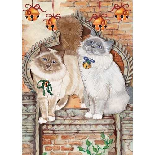 Pipsqueak Productions C878 Cat Holiday Boxed Cards