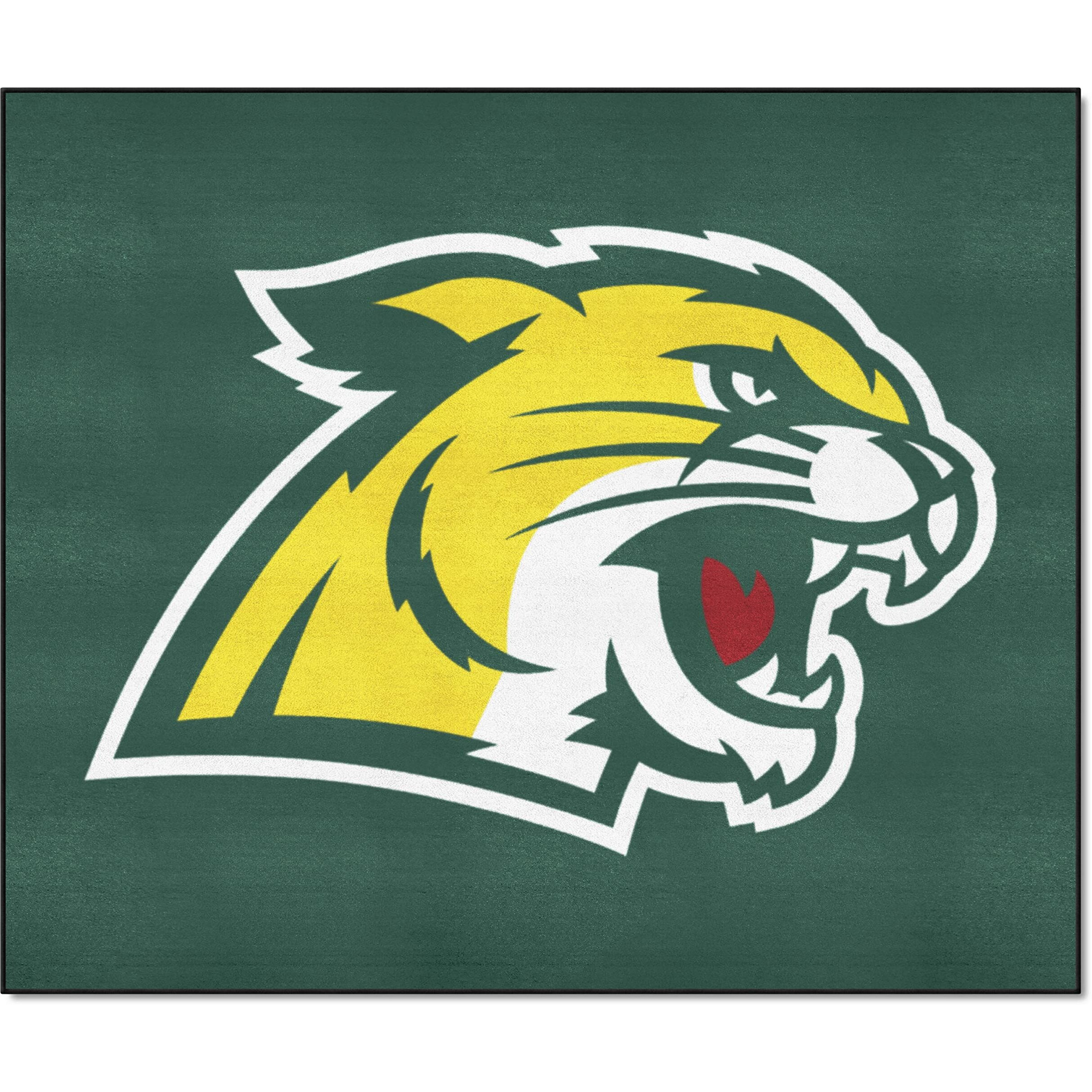 FANMATS 2008 Northern Michigan Wildcats Tailgater Rug - 5ft. x 6ft. Sports Fan Area Rug, Home Decor Rug and Tailgating Mat