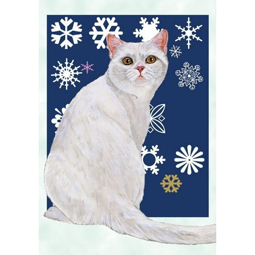 Pipsqueak Productions C545 White British Shorthair Cat Christmas Boxed Cards - Pack of 10