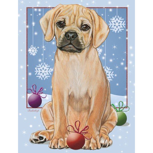 Pipsqueak Productions C578 Puggle Christmas Boxed Cards - Pack of 10