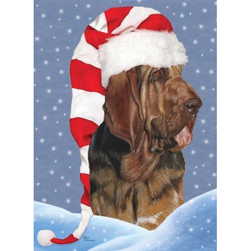 Pipsqueak Productions C721 Bloodhound Christmas Boxed Cards - Pack of 10