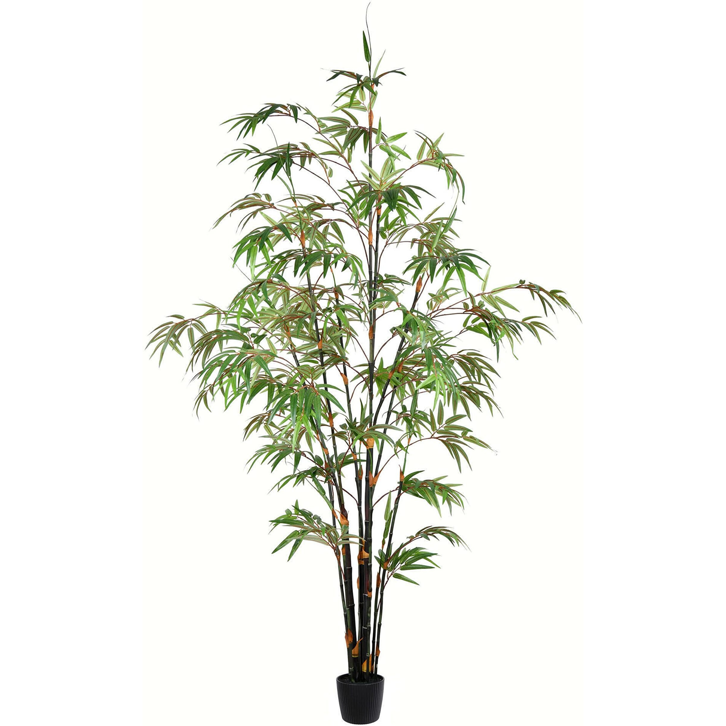 Vickerman Everyday 6' Artificial Potted Black Japanese Bamboo Tree - Premium Lifelike Faux Plant for Home or Office Decor - Maintenance Free Bamboo Tree