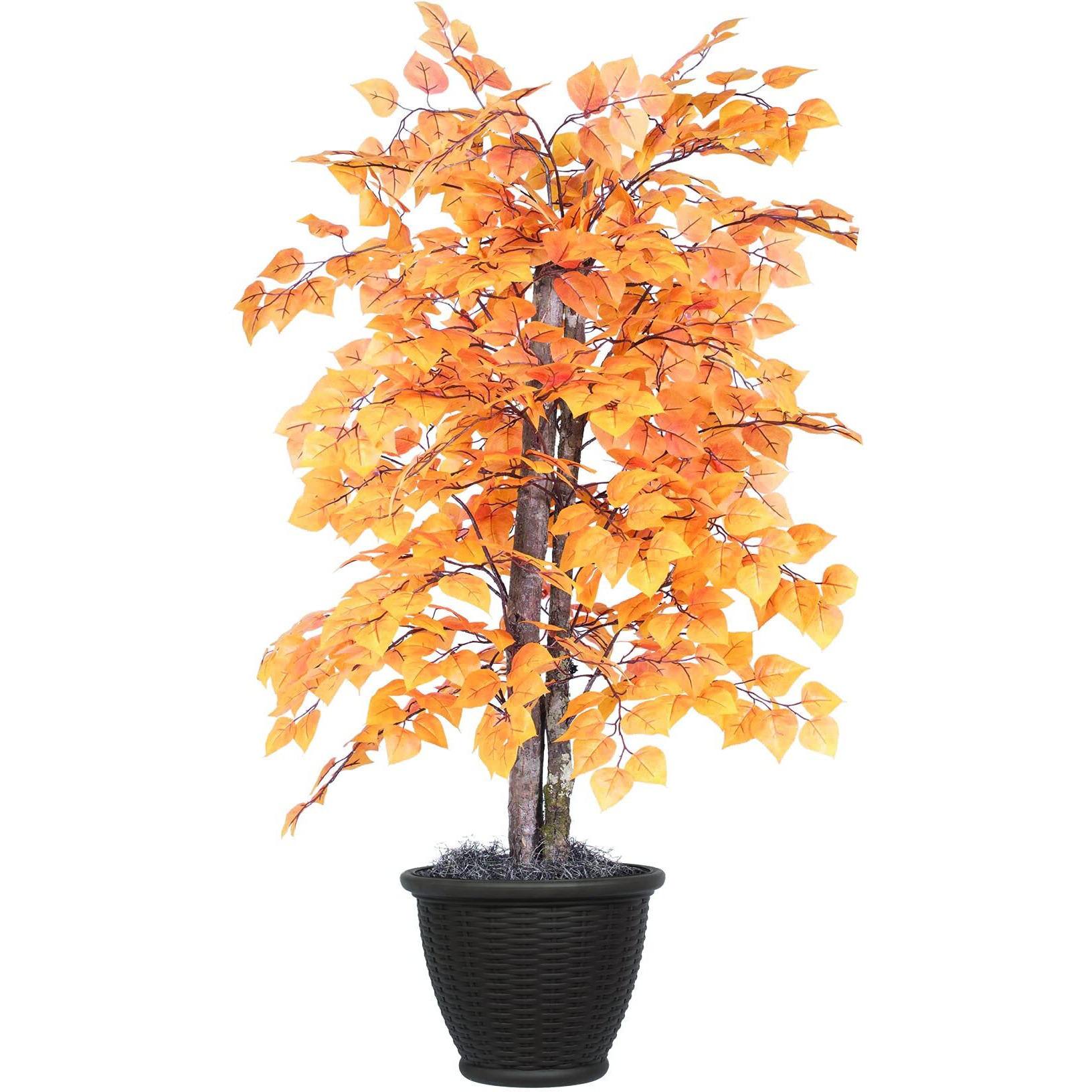 Vickerman 4' Indoor Artificial Golden Aspen Bush, Brown Plastic Container.