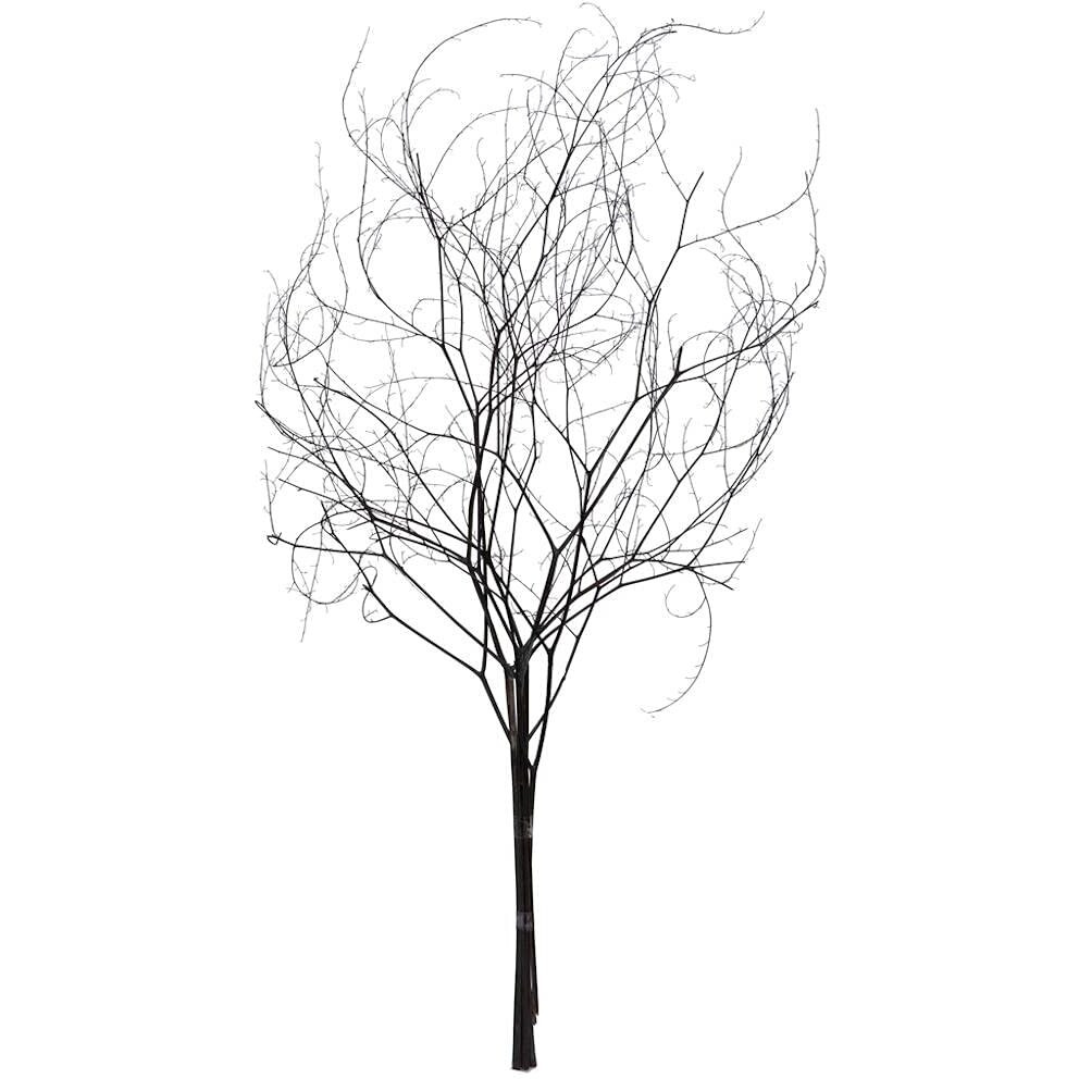 Vickerman 656235-18-20" Natural Brown Skeleton Branch 3Pk (H2SKB000-3) Dried and Preserved Branches