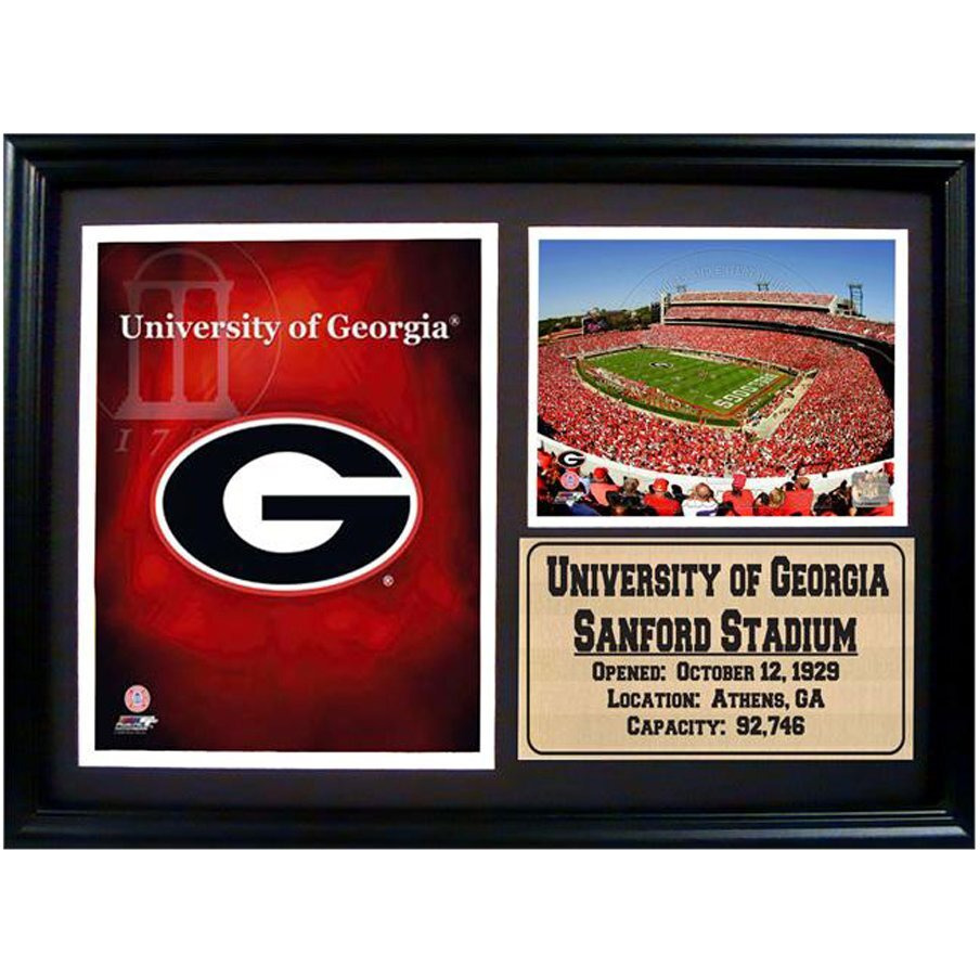 NCAA University of Georgia 12x18 Framed Logo and Stadium Print