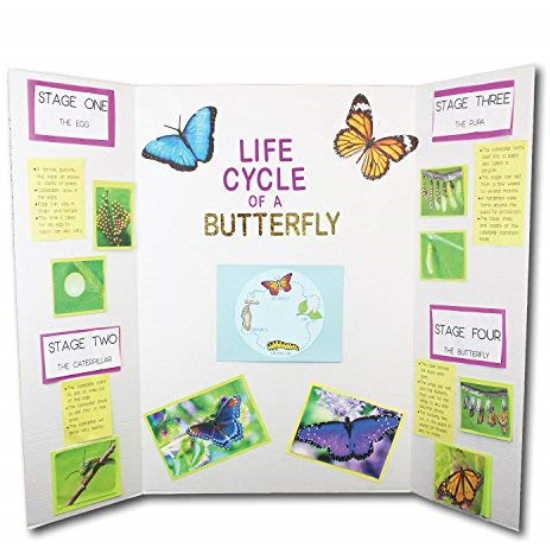 Flipside Products 36 X 48 Project Boards For Presentations  Science Fair  School Projects  Event Displays And Trifold Picture Board  Proudly Made In Usa - Bleached White - 24 Pack