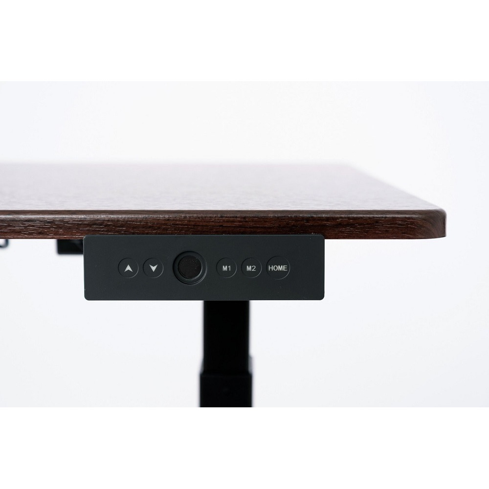 Stande-60  60"" Electric Standing Desk