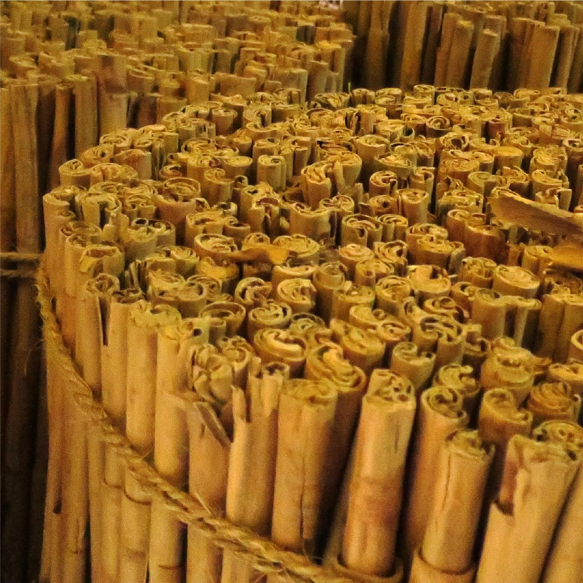 Frontier Herb Cinnamon Organic Fair Trade Certified Sticks 3 in Ceylon - Single Bulk Item - 1LB(D0102HXW8J2.)