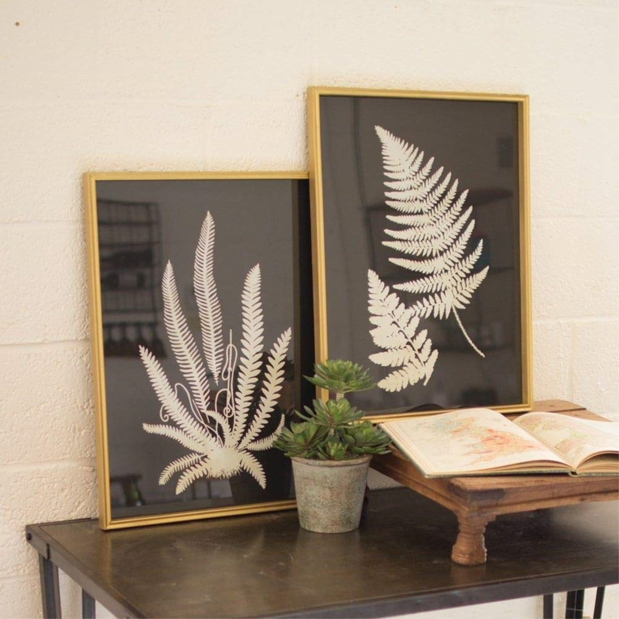 SET OF TWO BLACK AND WHITE FERN PRINTS UNDER GLASS