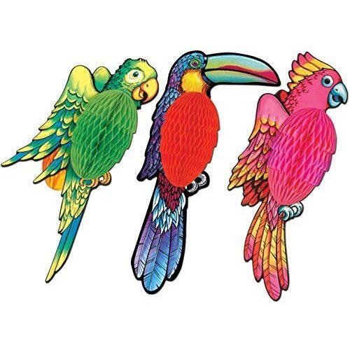 Tissue Exotic Birds