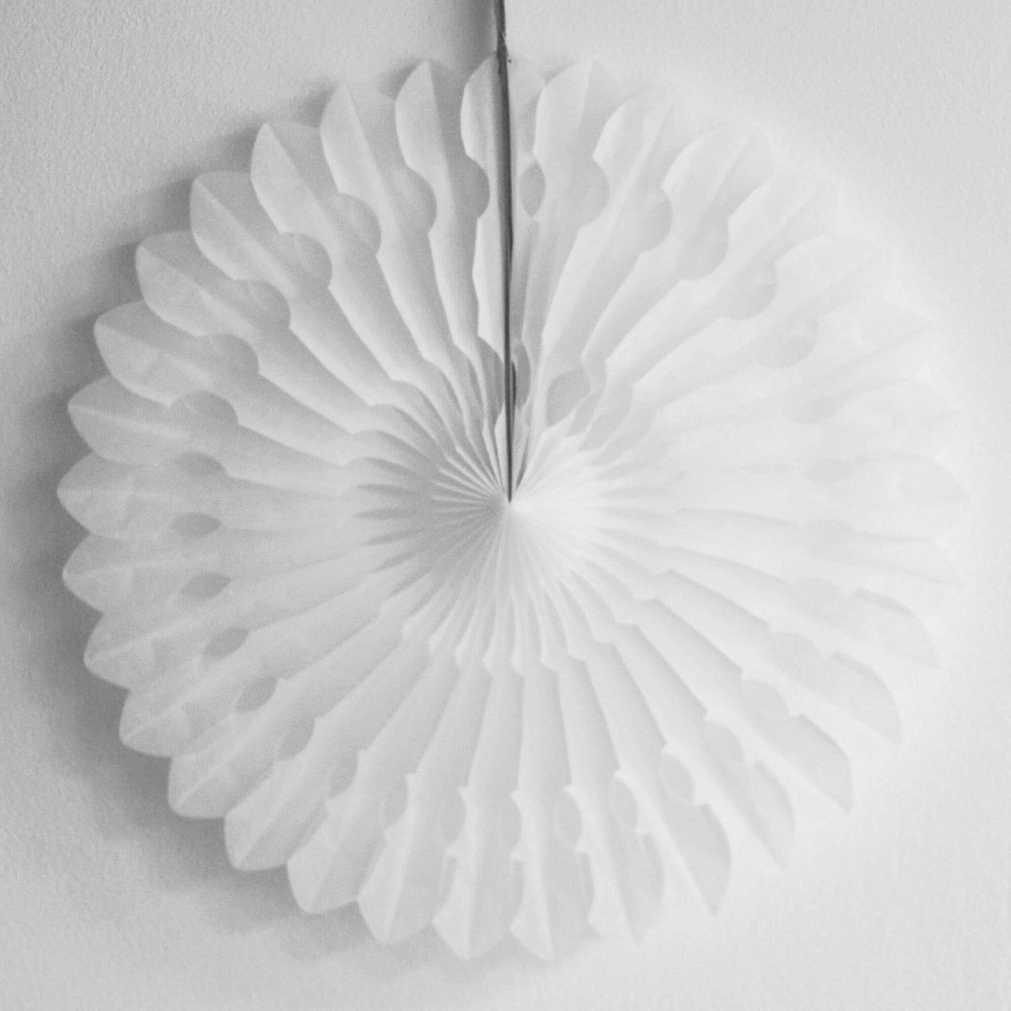 Jumbo Accordion Paper Fans