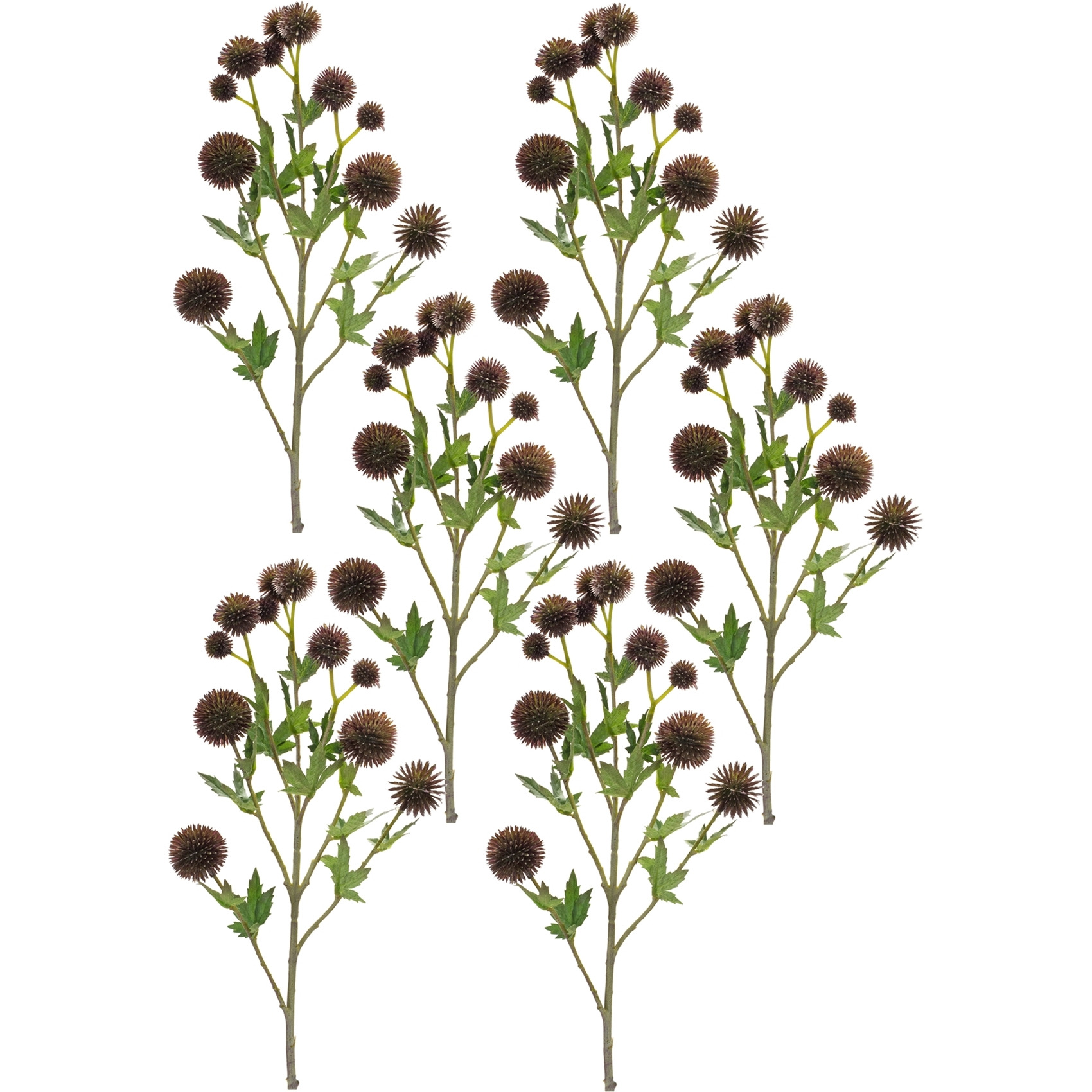 Allium Spray (Set of 6)