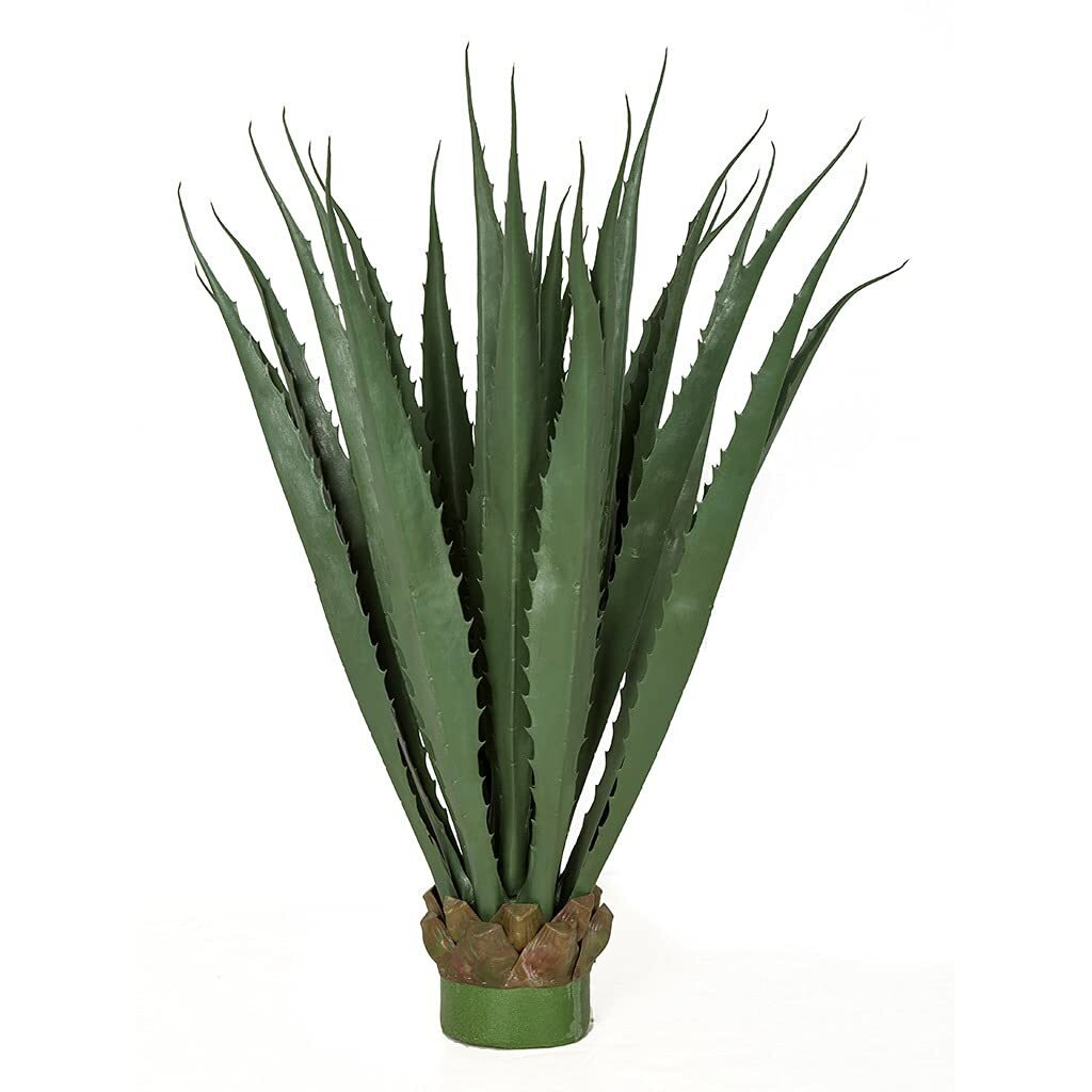 36 in Large Outdoor Pandanus Plant  green