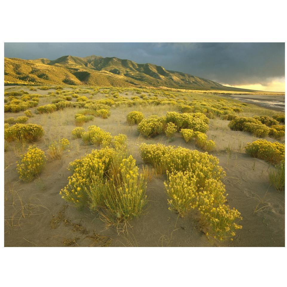 Sangre de Cristo Mountains at Great Sand Dunes National Monument, Colorado-Paper Art-34&quotx26"