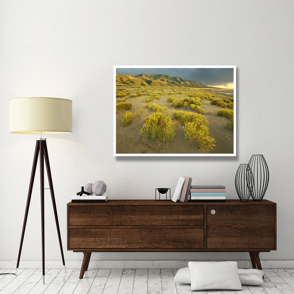 Sangre de Cristo Mountains at Great Sand Dunes National Monument, Colorado-Paper Art-50&quotx38"