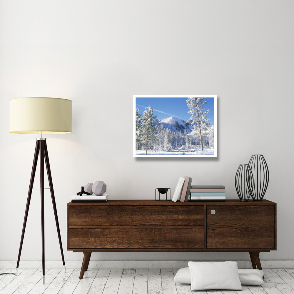 Pine trees covered with snow in winter, Yellowstone National Park, Wyoming-Paper Art-34&quotx26"