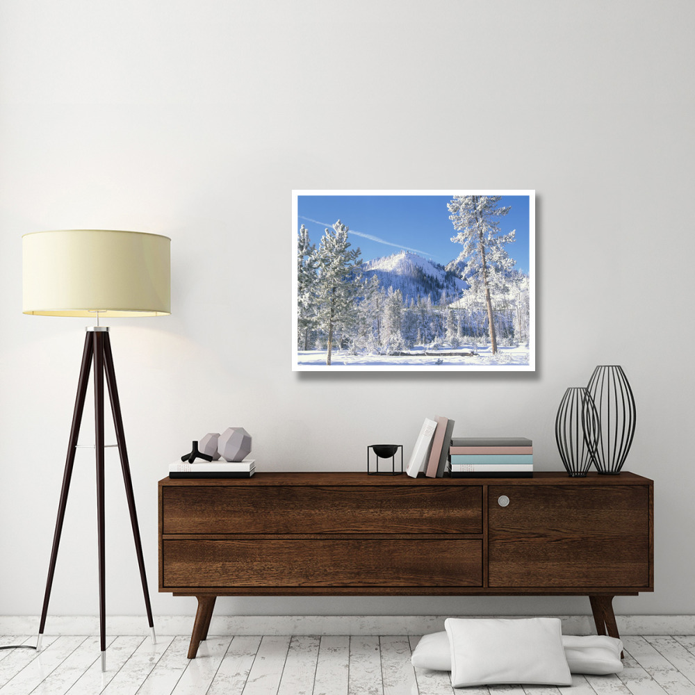 Pine trees covered with snow in winter, Yellowstone National Park, Wyoming-Paper Art-42&quotx32"