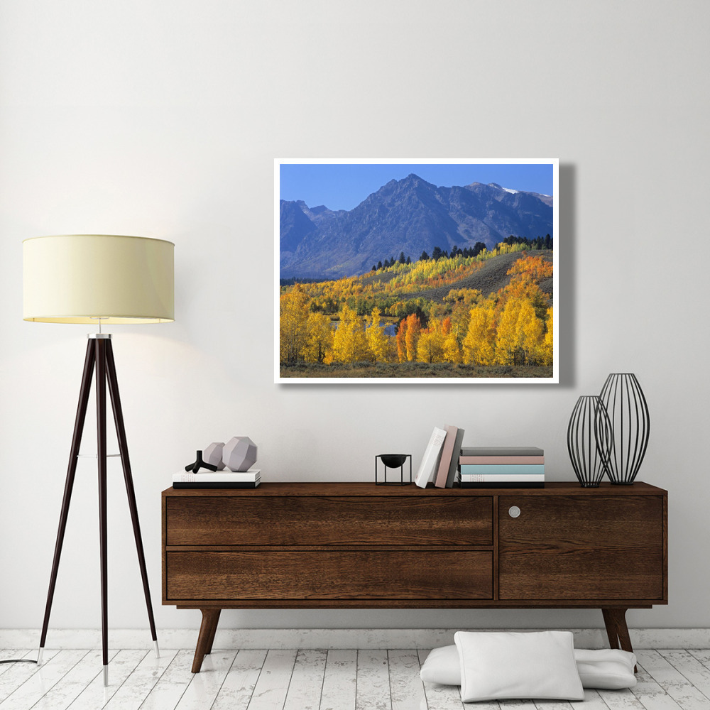 Ranger Peak and Aspen forest in autumn, Grand Teton National Park, Wyoming-Paper Art-50&quotx38"