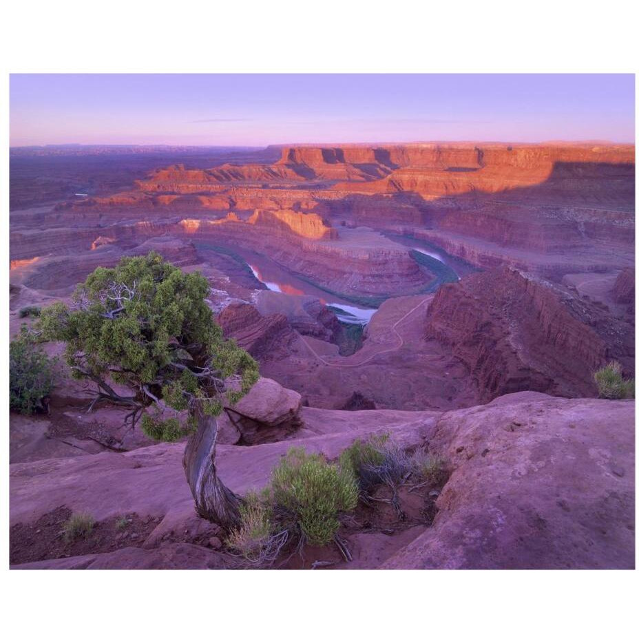 Colorado River flowing through canyons of Dead Horse Point State Park, Utah-Paper Art-22&quotx18"