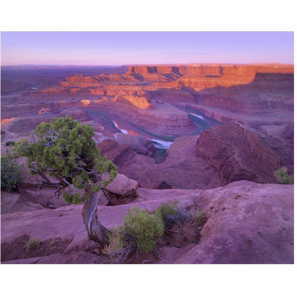 Colorado River flowing through canyons of Dead Horse Point State Park, Utah-Paper Art-30&quotx24"