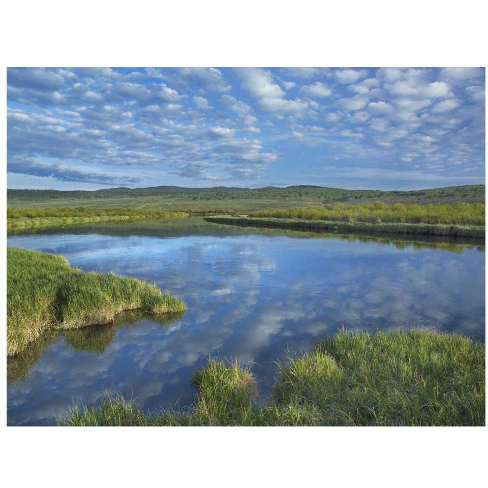 Clouds reflected in the Green River, Bridger-Teton National Forest, Wyoming-Paper Art-18&quotx14"