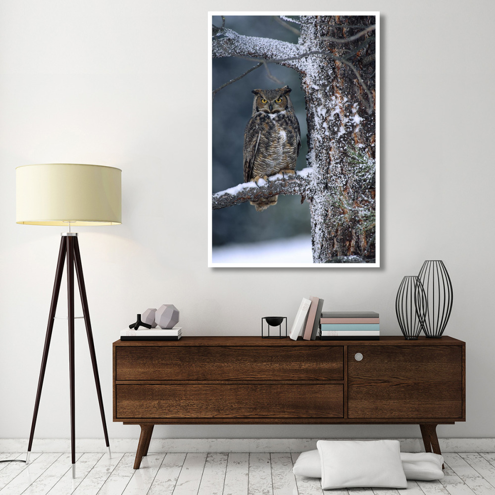 Great Horned Owl perched in tree dusted with snow, British Columbia, Canada-Paper Art-42&quotx62"