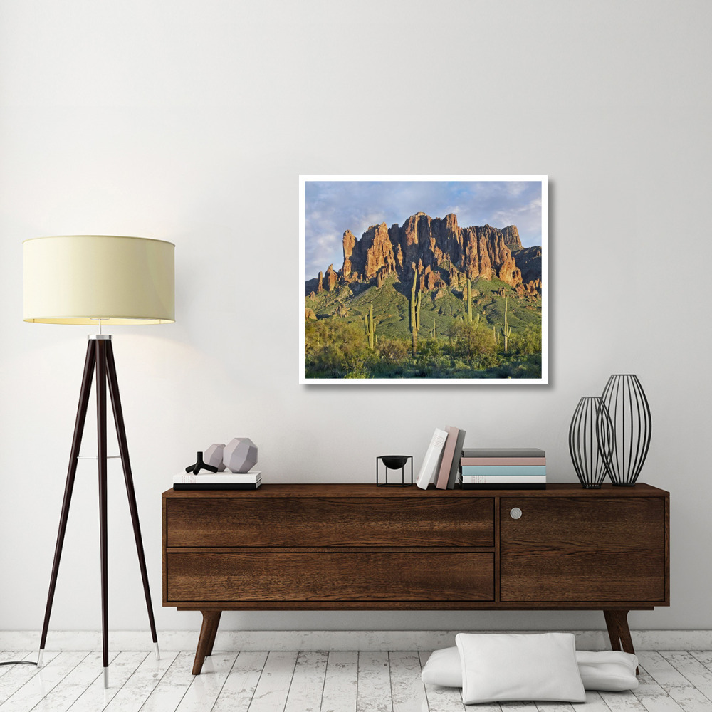 Saguaro cacti and Superstition Mountains, Lost Dutchman State Park, Arizona-Paper Art-42&quotx35.2"