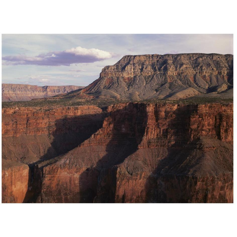 Grand Canyon seen from Toroweep Overlook, Grand Canyon National Park, Arizona-Paper Art-26&quotx20"