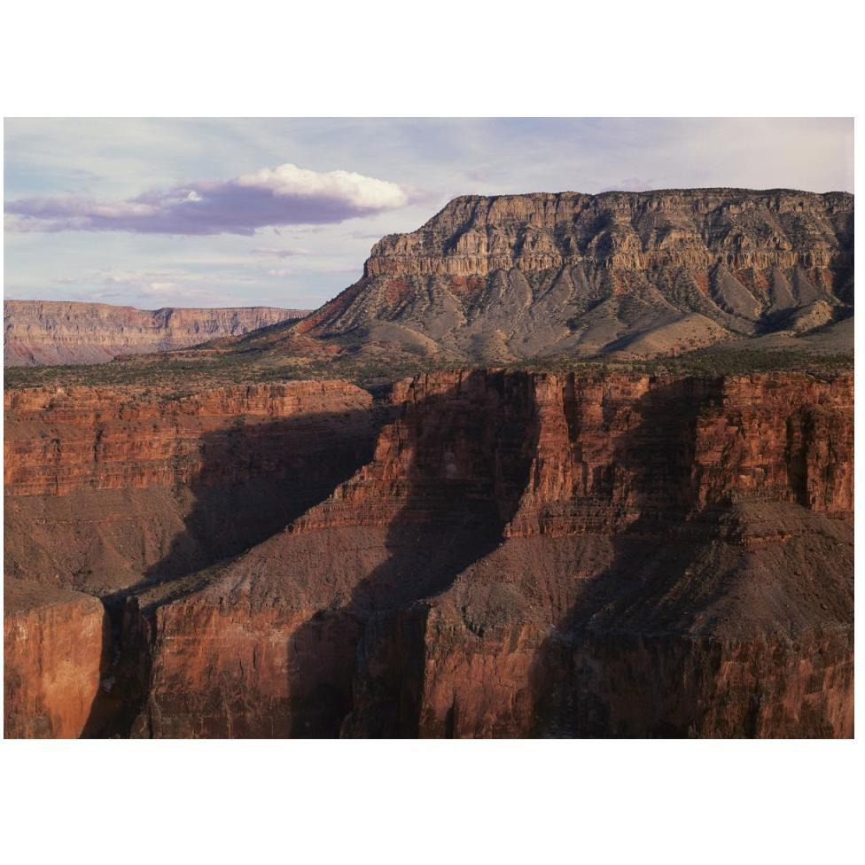 Grand Canyon seen from Toroweep Overlook, Grand Canyon National Park, Arizona-Paper Art-50&quotx38"