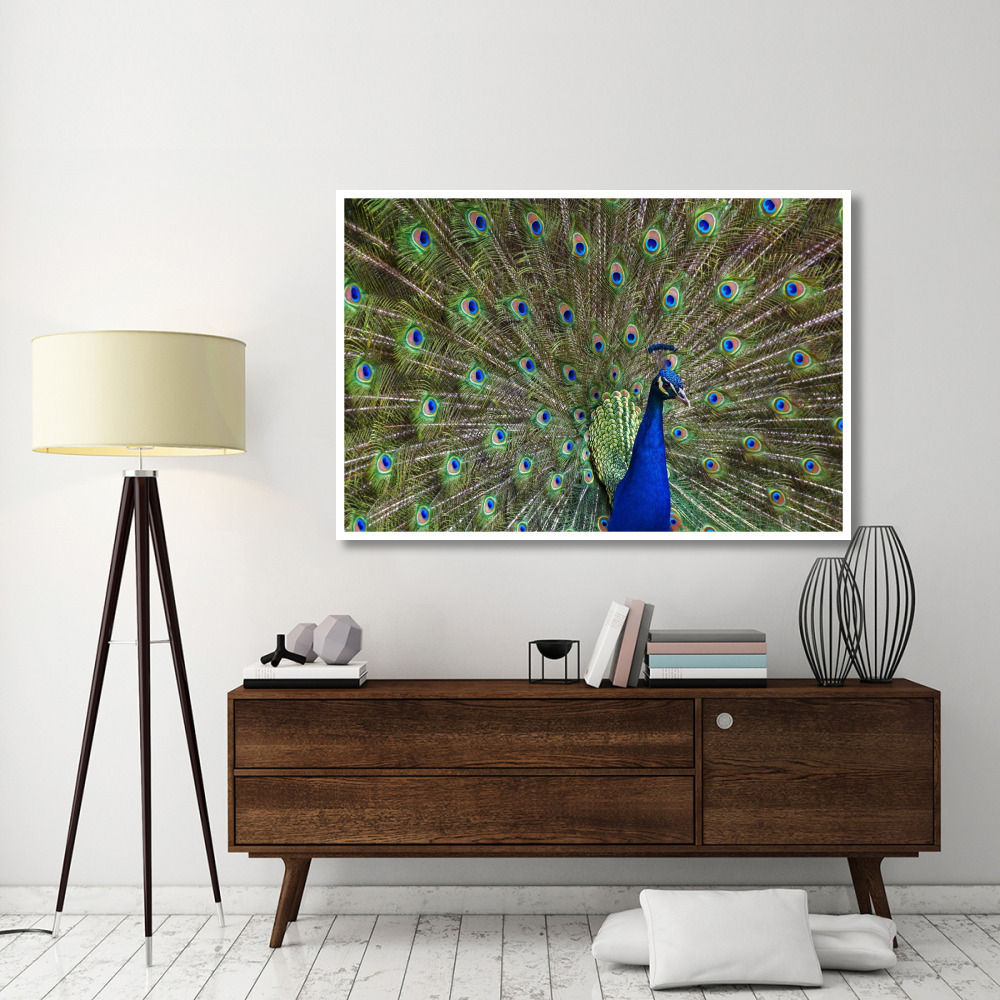 Indian Peafowl male with tail fanned out in courtship display, native to Asia-Paper Art-62&quotx42"