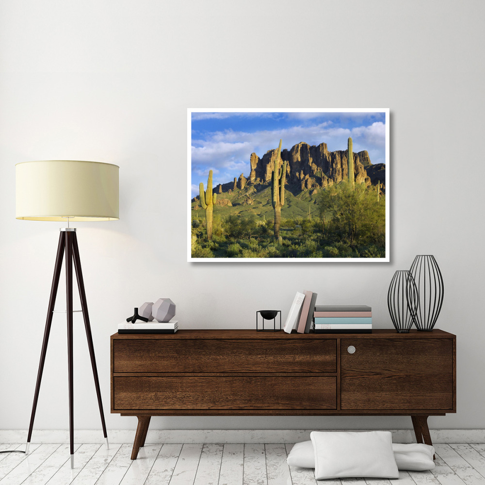 Saguaro cacti and Superstition Mountains at Lost Dutchman State Park, Arizona-Paper Art-50&quotx38"