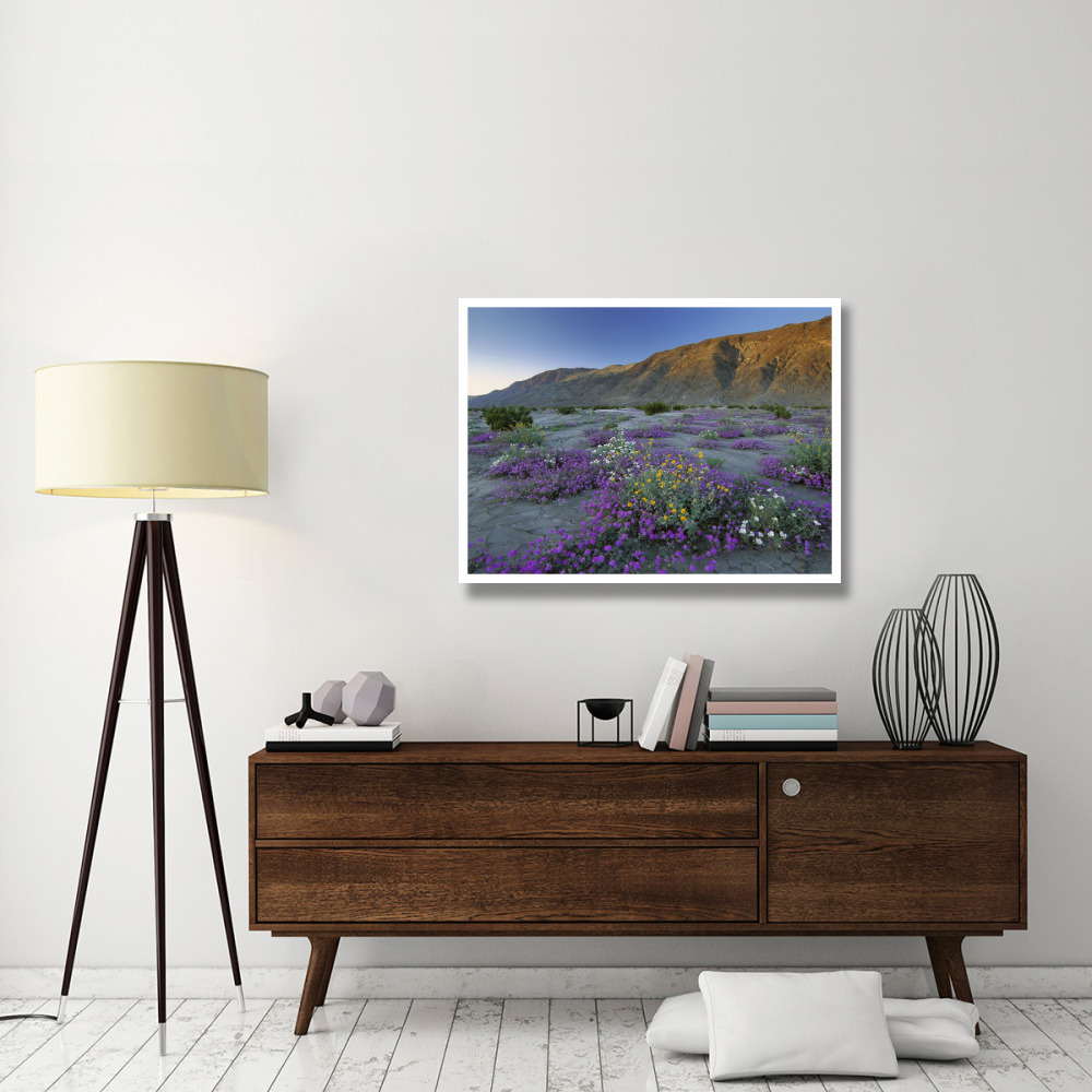 Sand Verbena and Desert Sunflowers Anza-Borrego Desert State Park, California-Paper Art-42&quotx32"