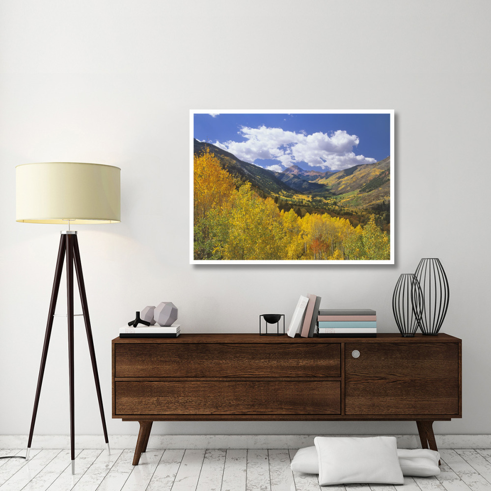 Haystack Mountain with aspen forest, Maroon Bells-Snowmass Wilderness, Colorado-Paper Art-50&quotx38"