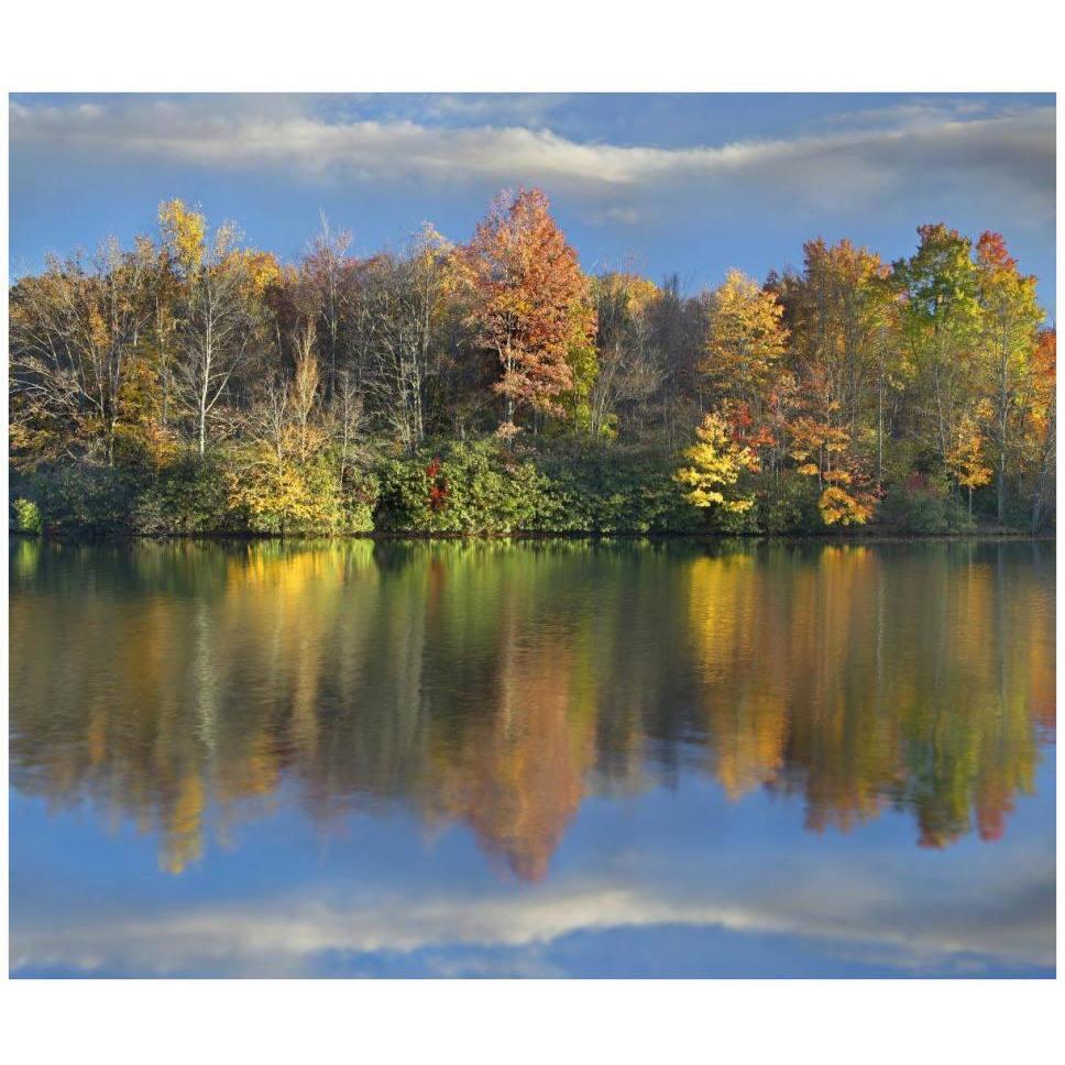 Deciduous forest in autumn along Price Lake, Blue Ridge Parkway, North Carolina-Paper Art-42&quotx36"