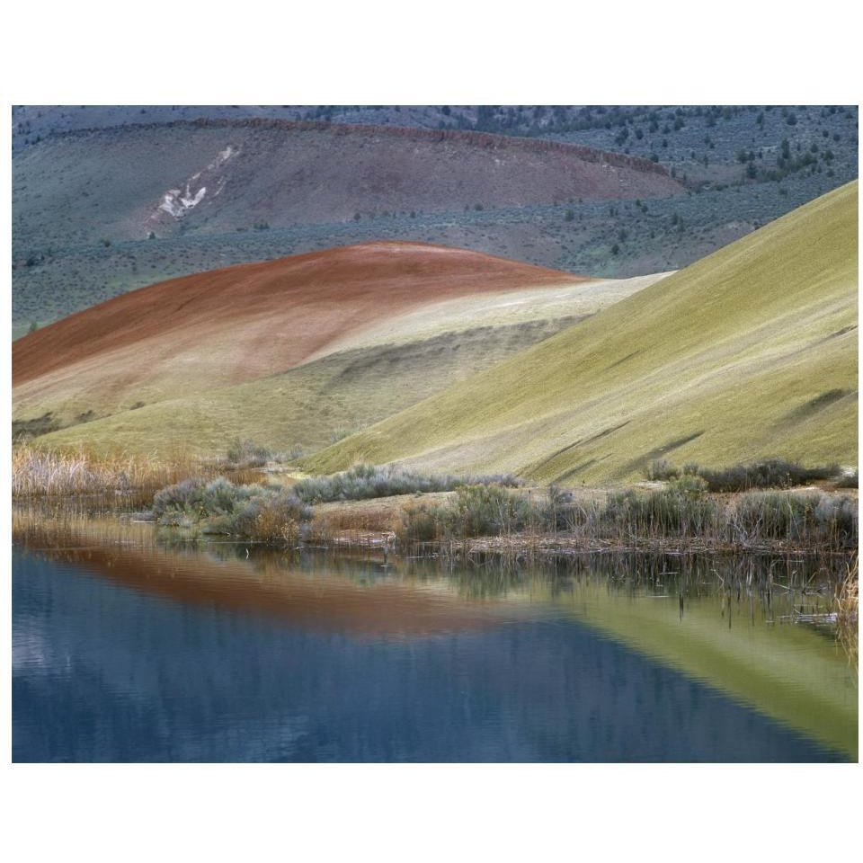 Painted Hills reflected in water, John Day Fossil Beds National Monument, Oregon-Paper Art-18&quotx14"