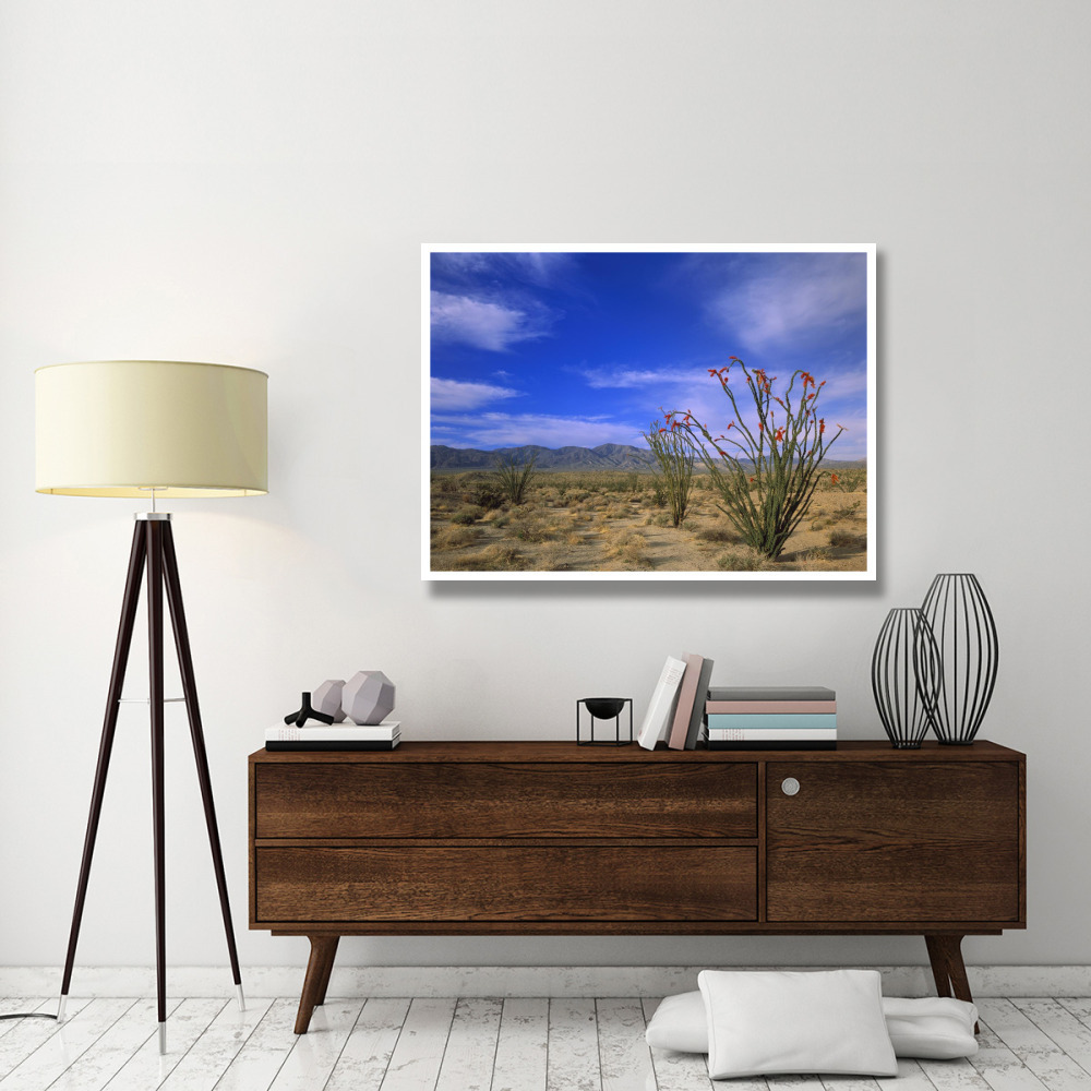 Ocotillo and the Vallecito Mountains, Anza-Borrego Desert State Park, California-Paper Art-50&quotx38"