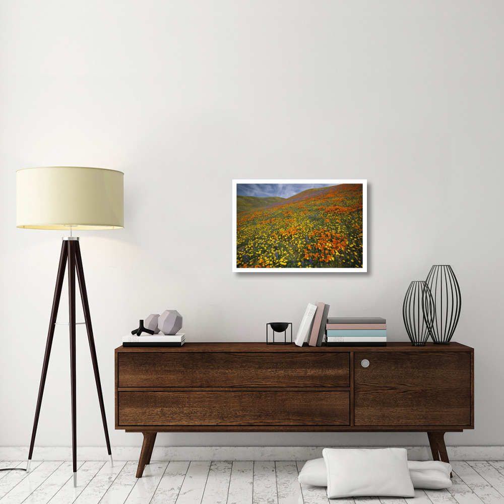 Hills covered with California Poppies and Lupine Tehachapi Mountains, California-Paper Art-32&quotx22"